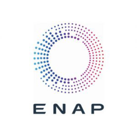 logos__0000s_0000s_0003_ENAP