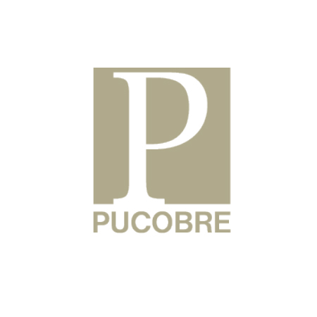 logos__0000s_0000s_0010_mineria_pucobre